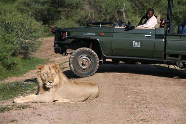 Tau Game Lodge Madikwe Game Reserve Eksteriør bilde