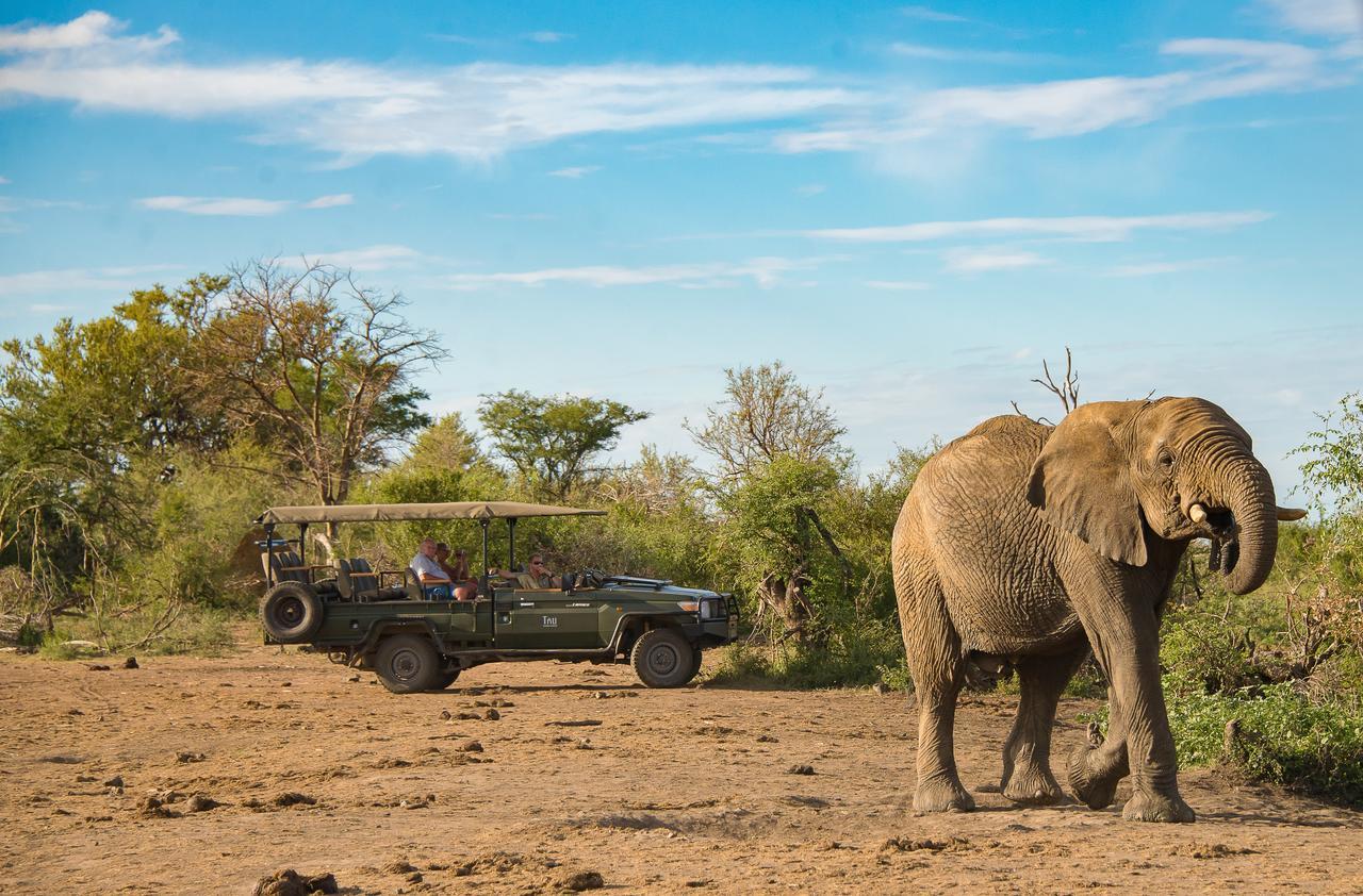Tau Game Lodge Madikwe Game Reserve Eksteriør bilde